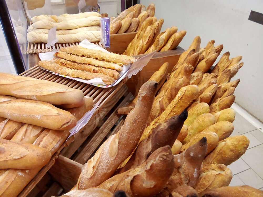   Fonds de commerce à CEDER 