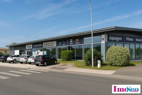 Investissement locatif BORDEAU &agrave; VENDRE 1675000 33160 Saint medard en jalles
