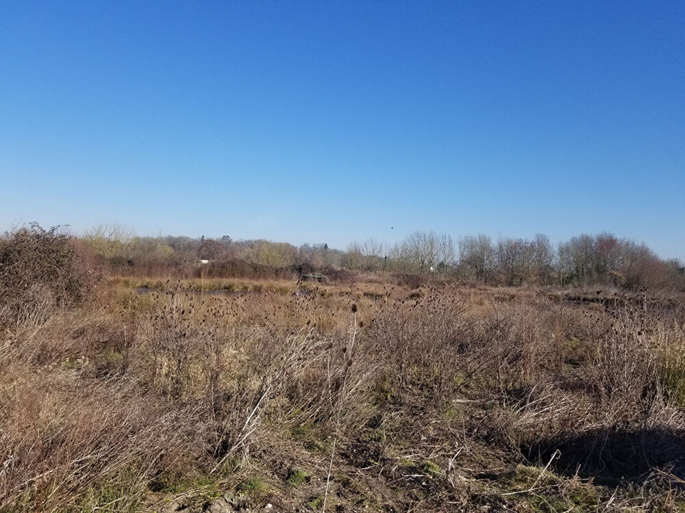   Exploitation Agricole à VENDRE 