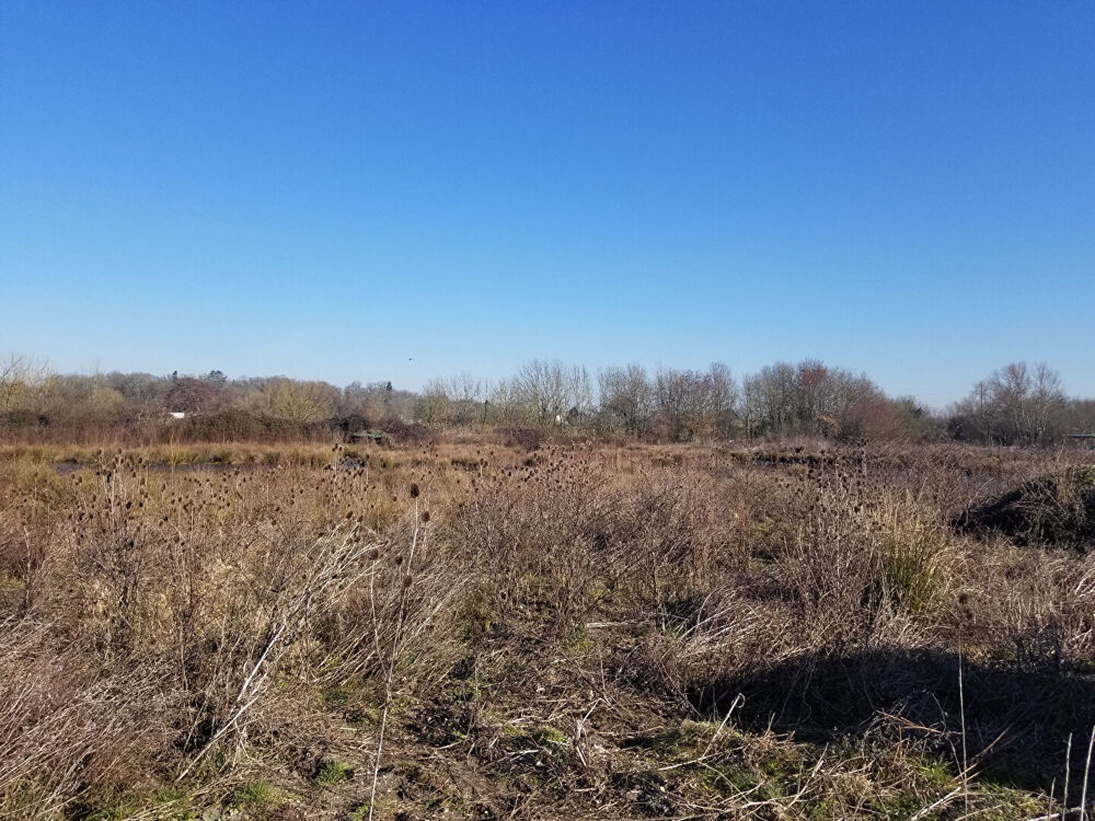   Exploitation Agricole à VENDRE Bruges