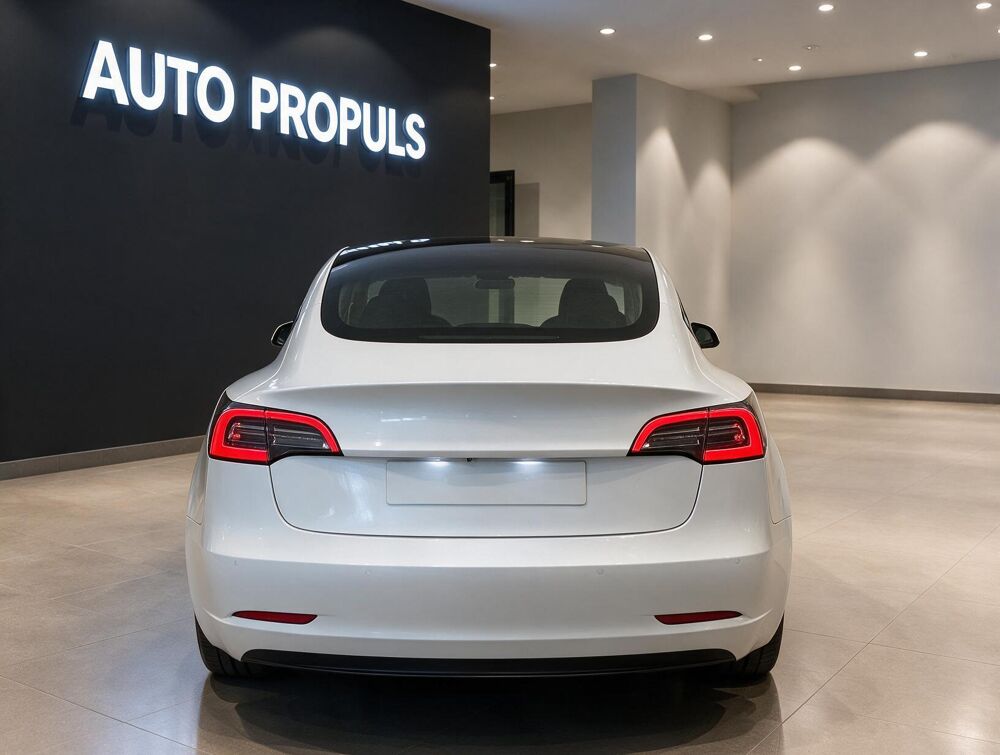 Model 3 Standard Range Plus Autopilot Pano MOMS 2020 occasion 35000 Rennes