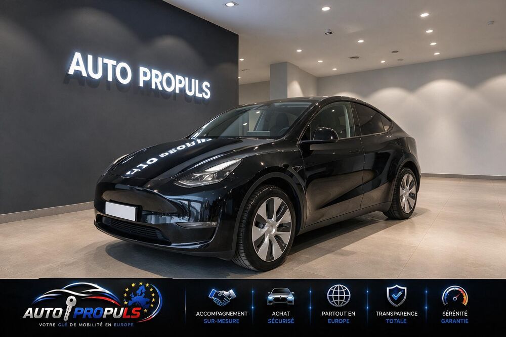 Model Y Long Range Dual Motor awd 2022 occasion 35000 Rennes