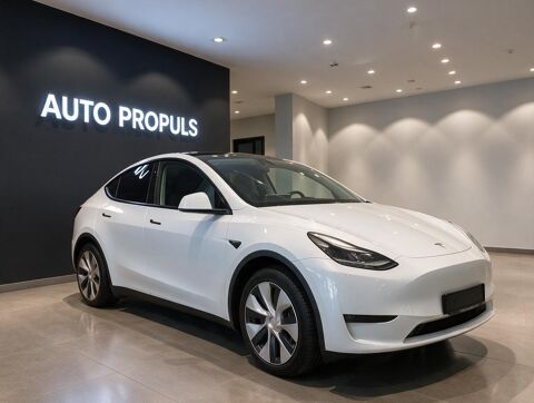 Model Y Standard Range RWD A.Pilot Pr.Int 2023 occasion 35000 Rennes