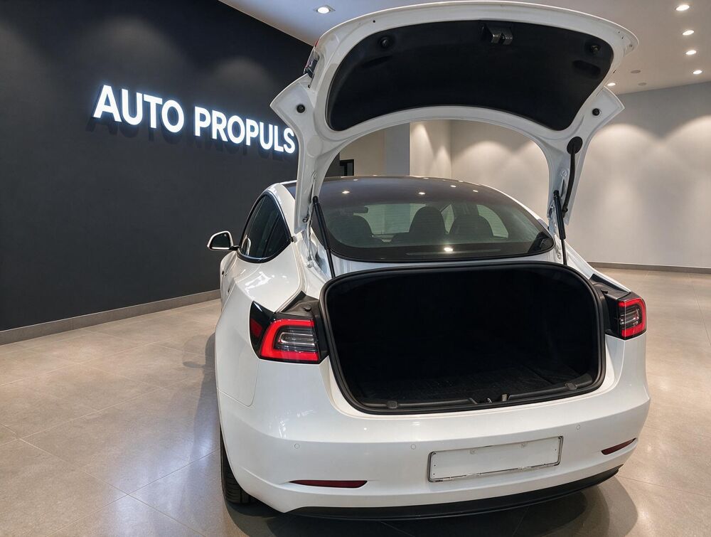 Model 3 Standard-Reichweite Plus - Hinterrad... 2020 occasion 35000 Rennes