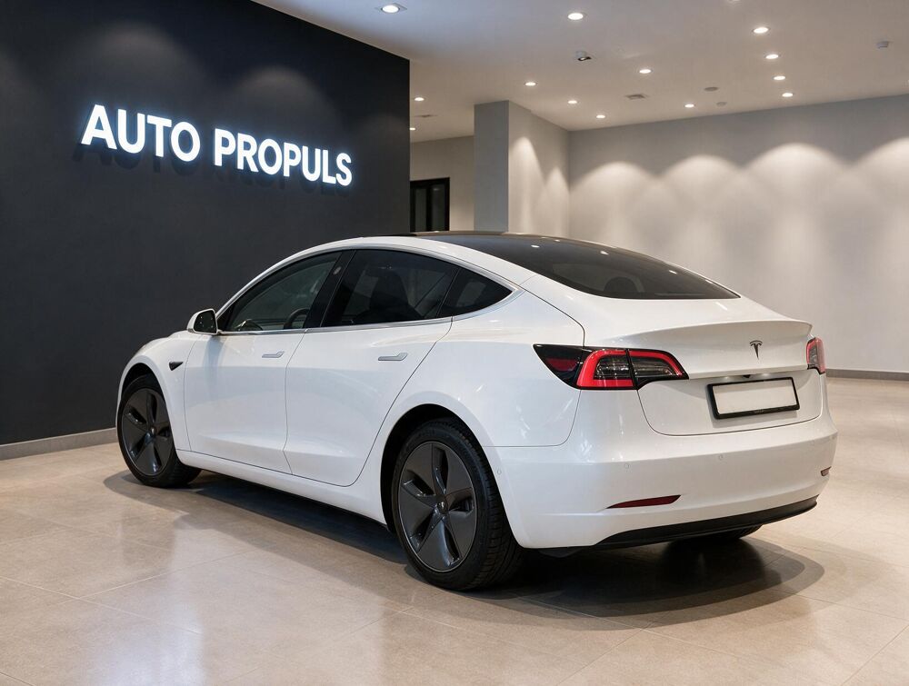 Model 3 Standard RWD Plus 60 kWh 2019 occasion 35000 Rennes