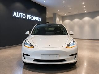 Model 3 Standard RWD Plus 60 kWh 2019 occasion 35000 Rennes