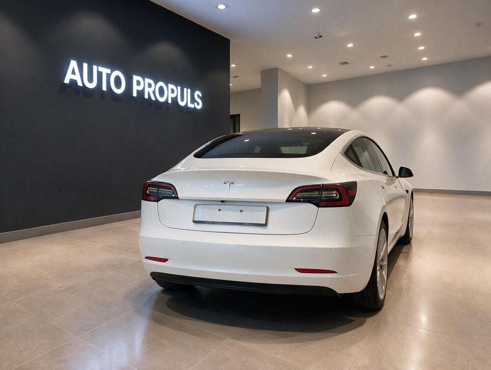 Model 3 Standard RWD Plus 60 kWh 2019 occasion 35000 Rennes
