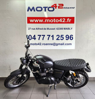 TRIUMPH 2013 occasion 42300 Mably