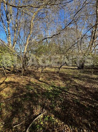  Terrain  vendre 