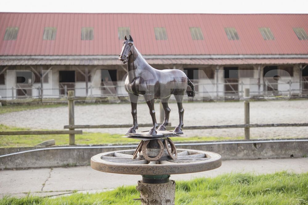 � vendre  Maison Bassevelle (77750)