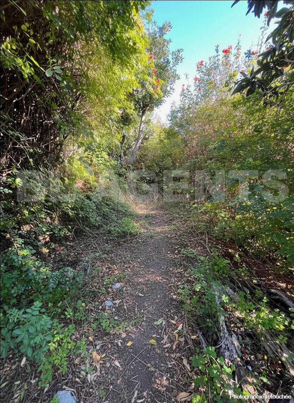 � vendre  Maison Ville-di-Pietrabugno (20200)