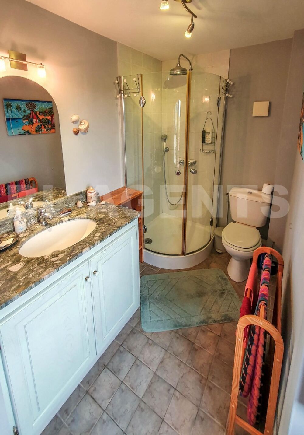 � vendre  Maison Faye-la-Vineuse (37120)