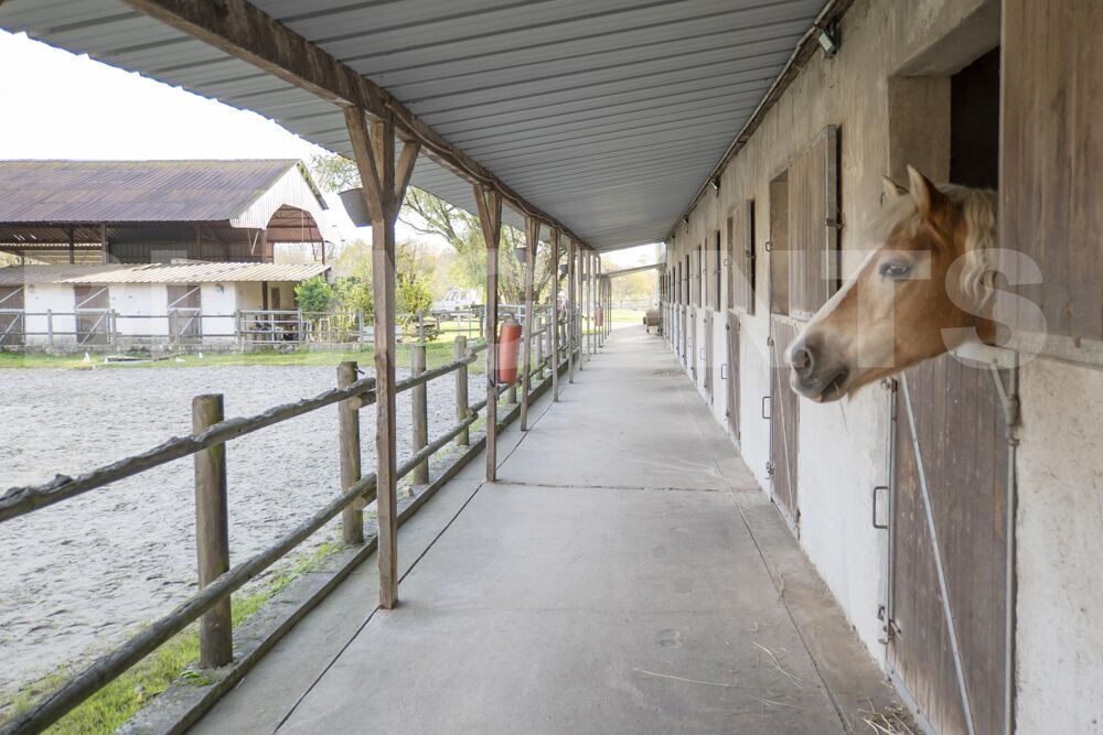 � vendre  Maison Bassevelle (77750)