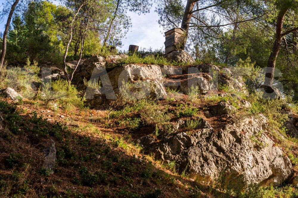  vendre  Maison Allauch (13190)