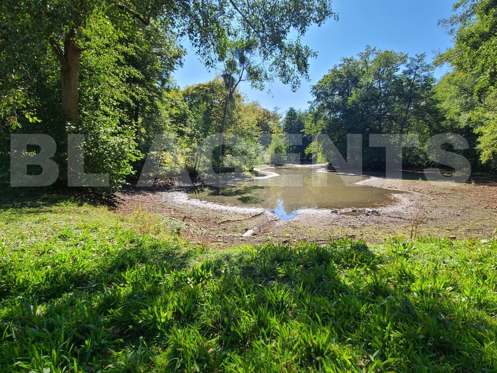  vendre  Maison Bazeilles (08140)