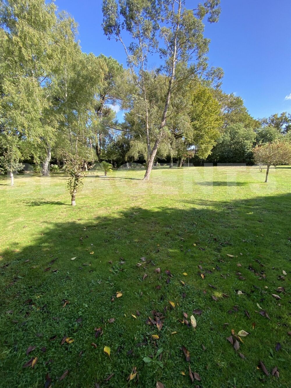 � vendre  Maison Saint-Nicolas-de-Redon (44460)