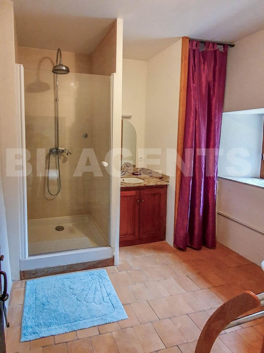 � vendre  Maison Faye-la-Vineuse (37120)