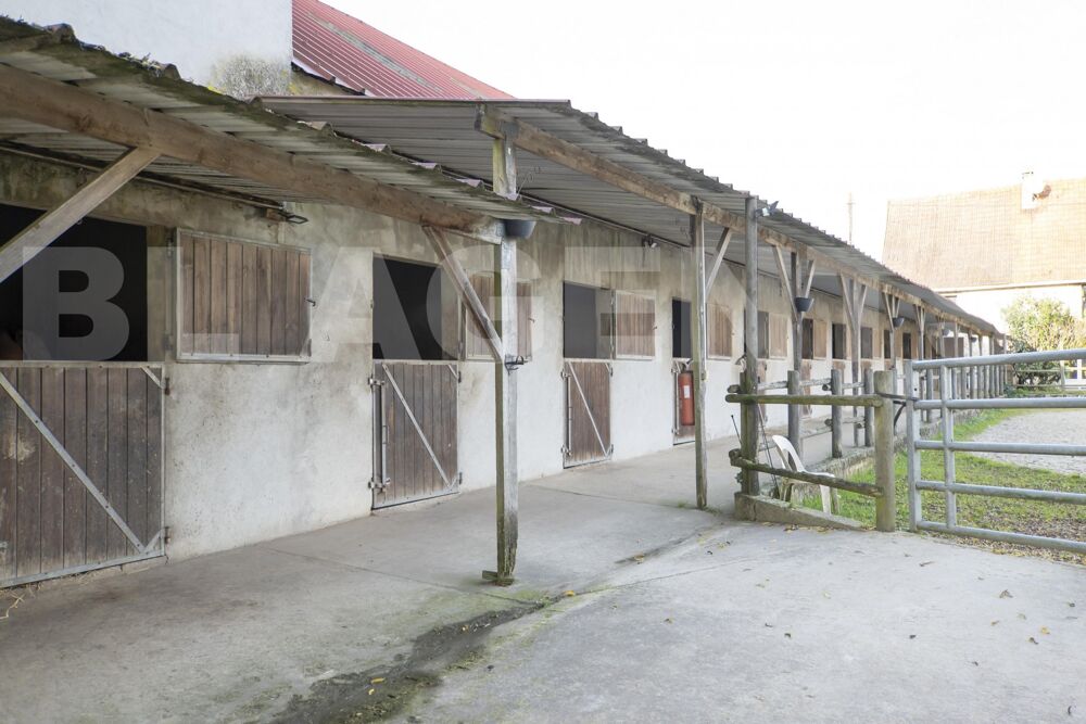 � vendre  Maison Bassevelle (77750)