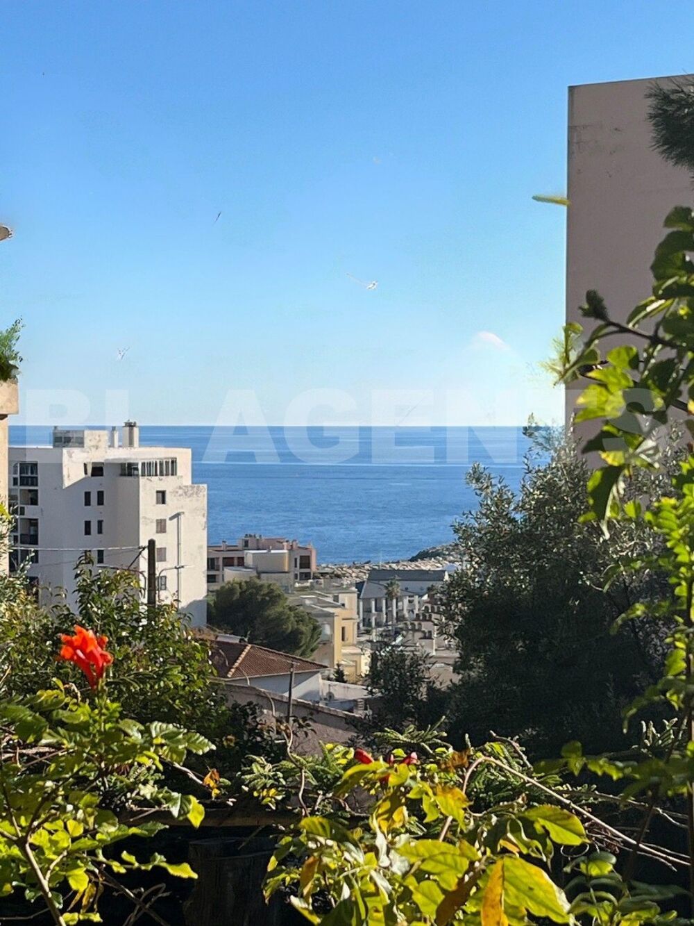 � vendre  Maison Ville-di-Pietrabugno (20200)