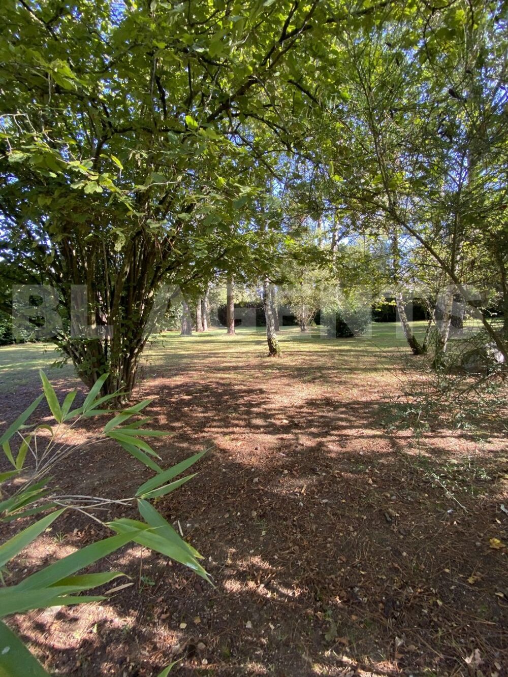 � vendre  Maison Saint-Nicolas-de-Redon (44460)