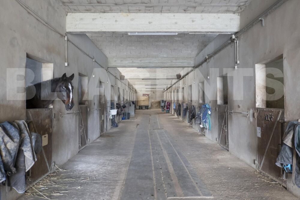 � vendre  Maison Bassevelle (77750)