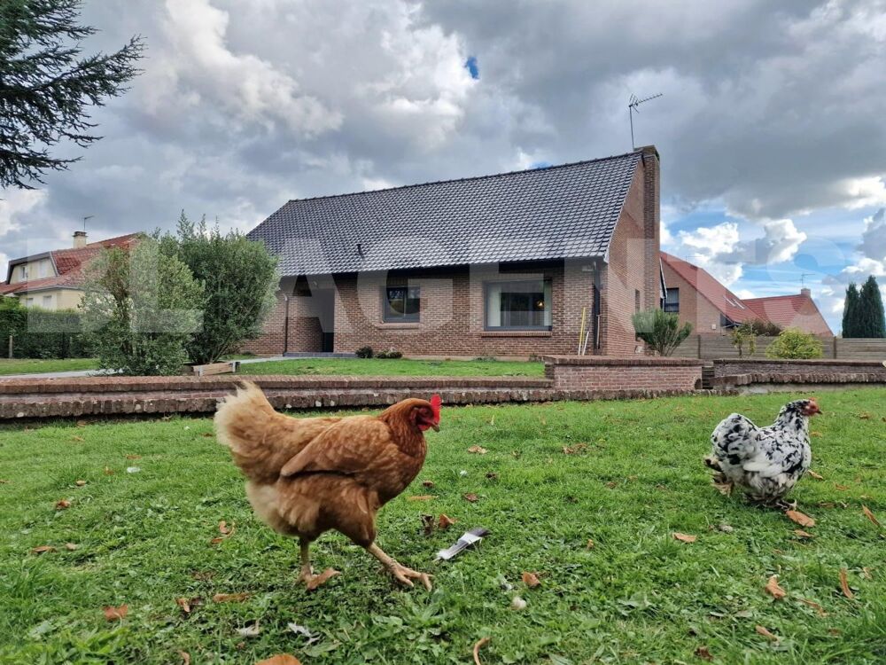Annonce : Vente Maison Camphin-en-Pévèle (59780) 200 m² (649 000 ...