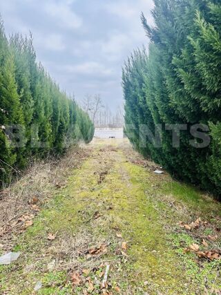  Terrain  vendre 