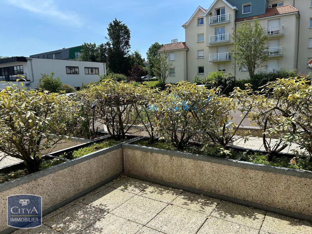 À louer, charmant appartement T2 rez de chaussée situé à....