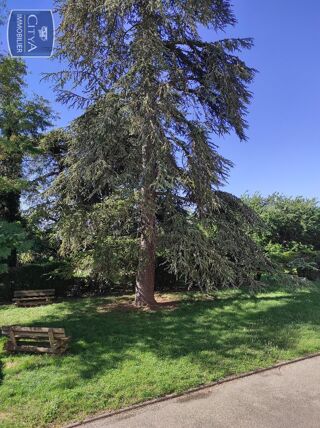  Appartement � louer 3 pi�ces 68 m�