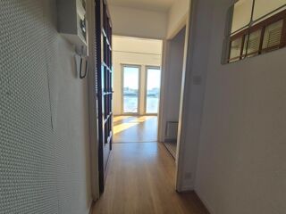  Appartement à louer 1 pièce 24 m²