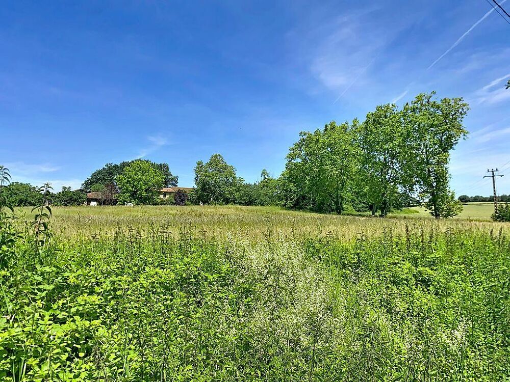 Certains lieux semblent avoir trouvé leur équilibre depu....