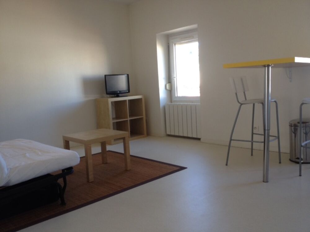 F1 secteur Fauriel - 51 Rue Montesquieu - idéal étudiant....