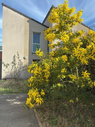  Maison � louer 4 pi�ces 88 m�