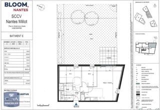  Appartement � louer 3 pi�ces 59 m�