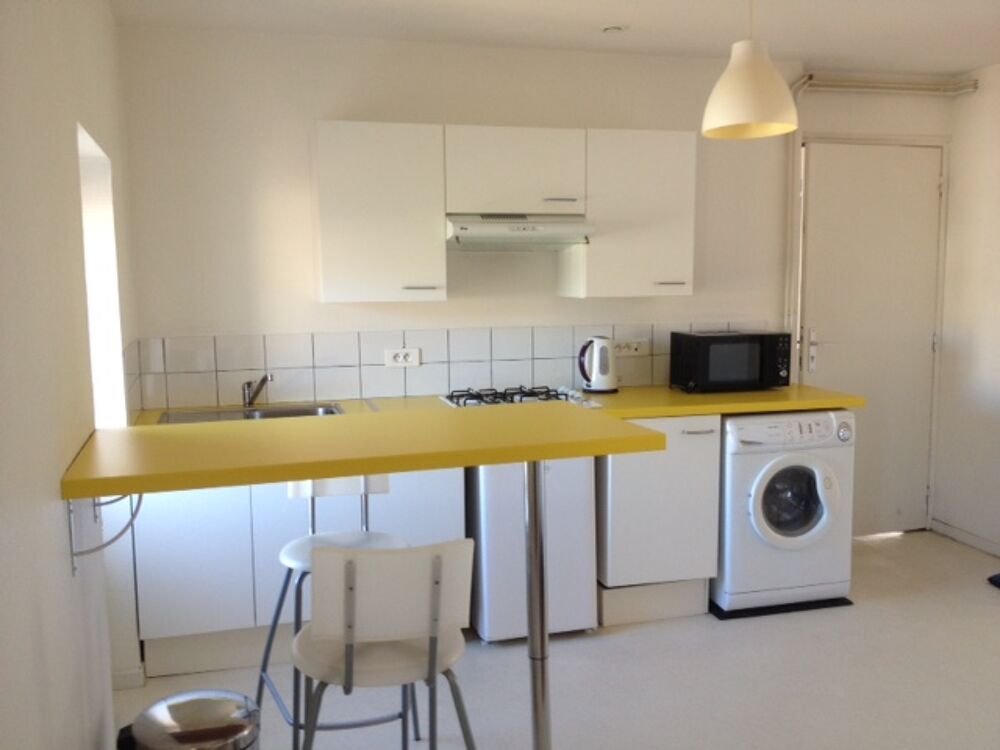 F1 secteur Fauriel - 51 Rue Montesquieu - idéal étudiant....