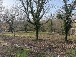  Terrain à vendre 2950 m²