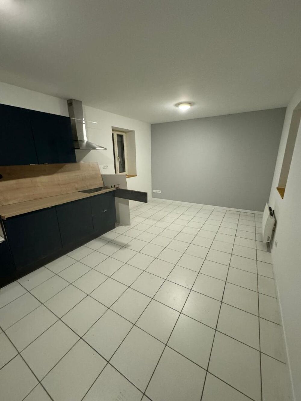 location Appartement - 2 pièce(s) - 45 m² Janneyrias (38280)