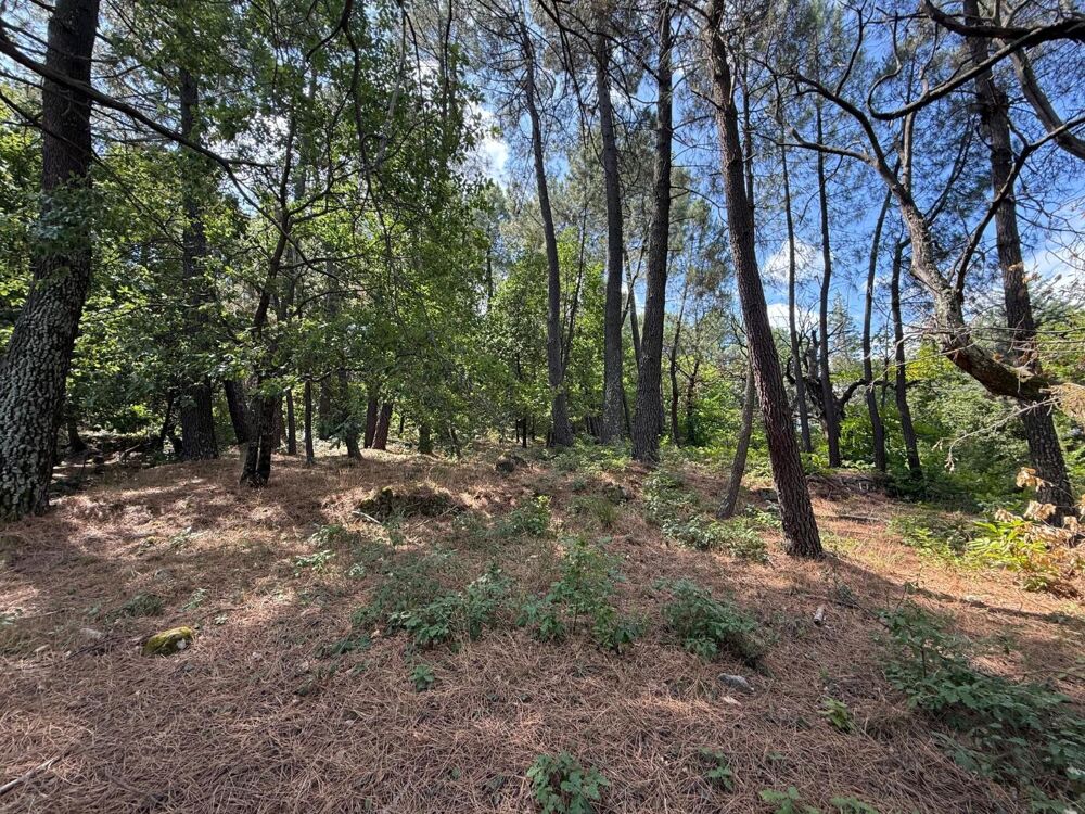 vente Terrain - 1800 m² Ailhon (07200)