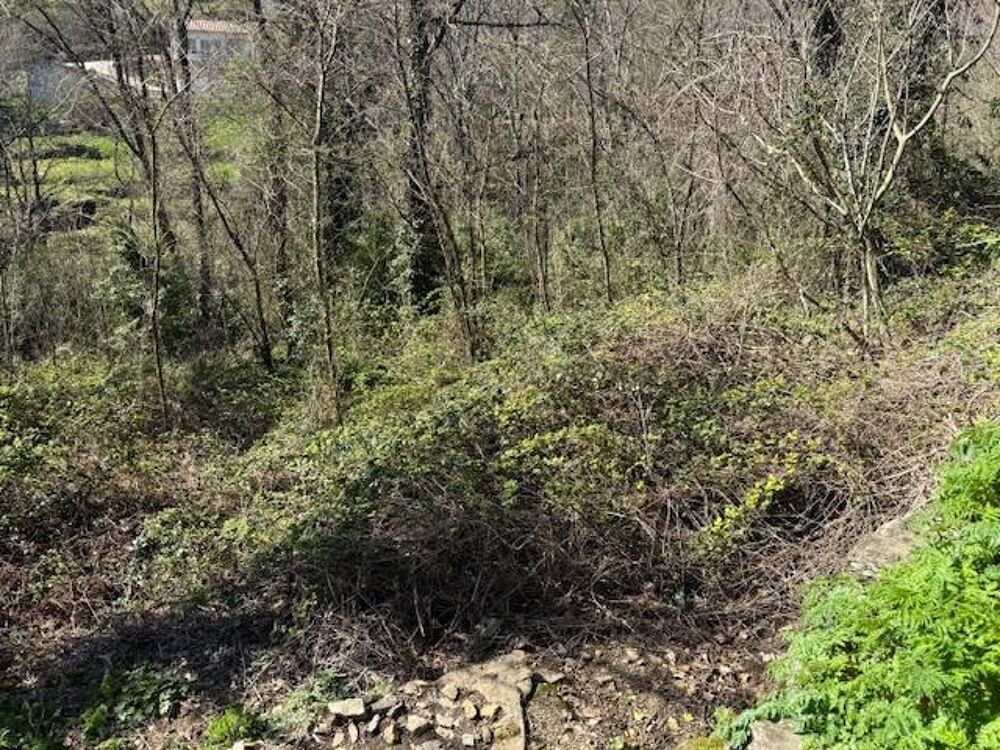 vente Terrain - 3199 m² Vesseaux (07200)