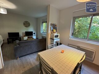  Appartement à louer 1 pièce 31 m²