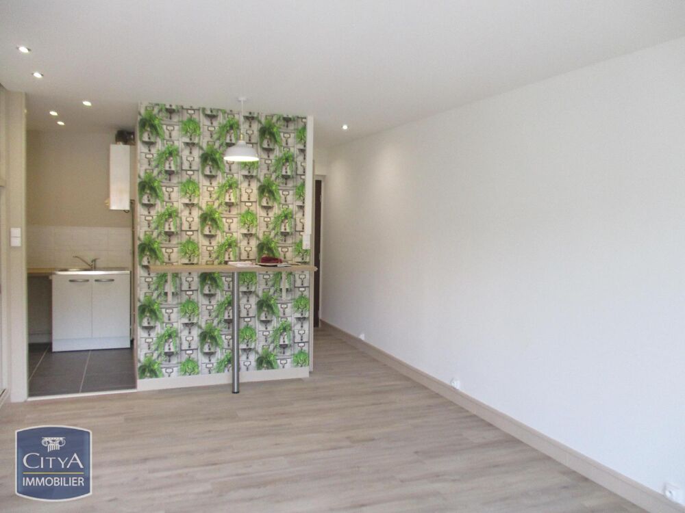 location Appartement - 1 pièce(s) - 31 m² Oullins (69600)