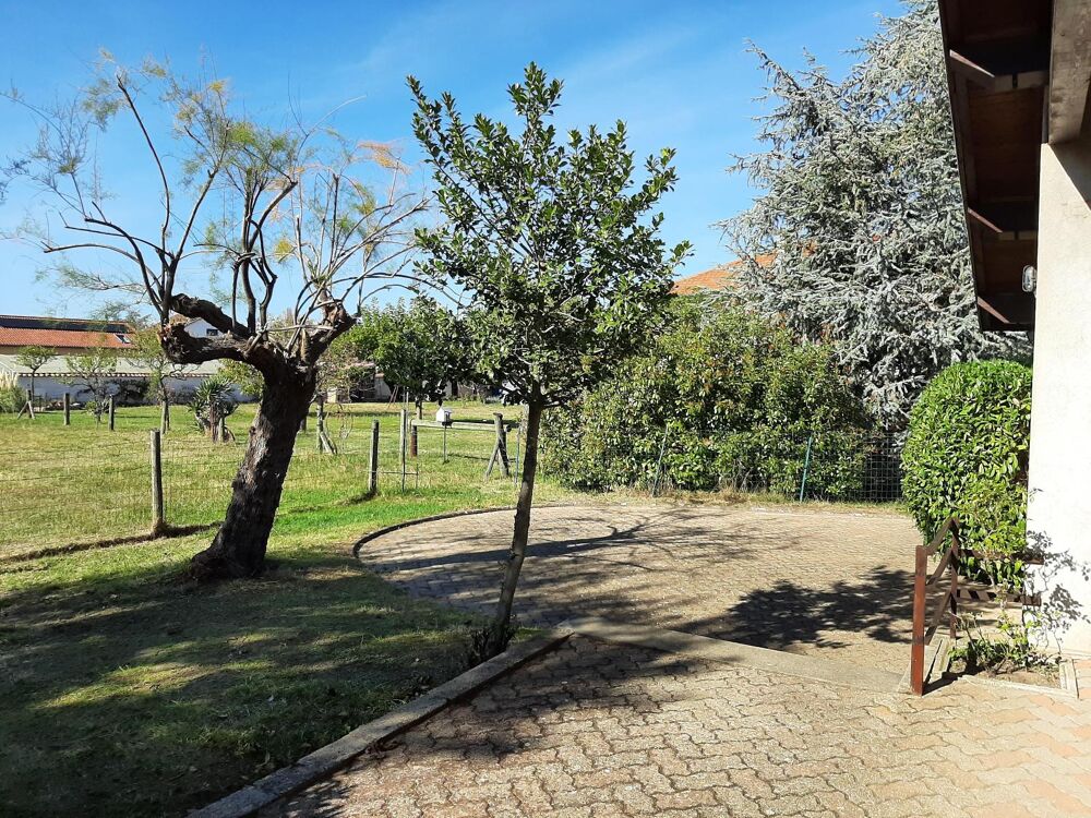 location Villa - 4 pièce(s) - 80 m² Saint-Just-Saint-Rambert (42170)