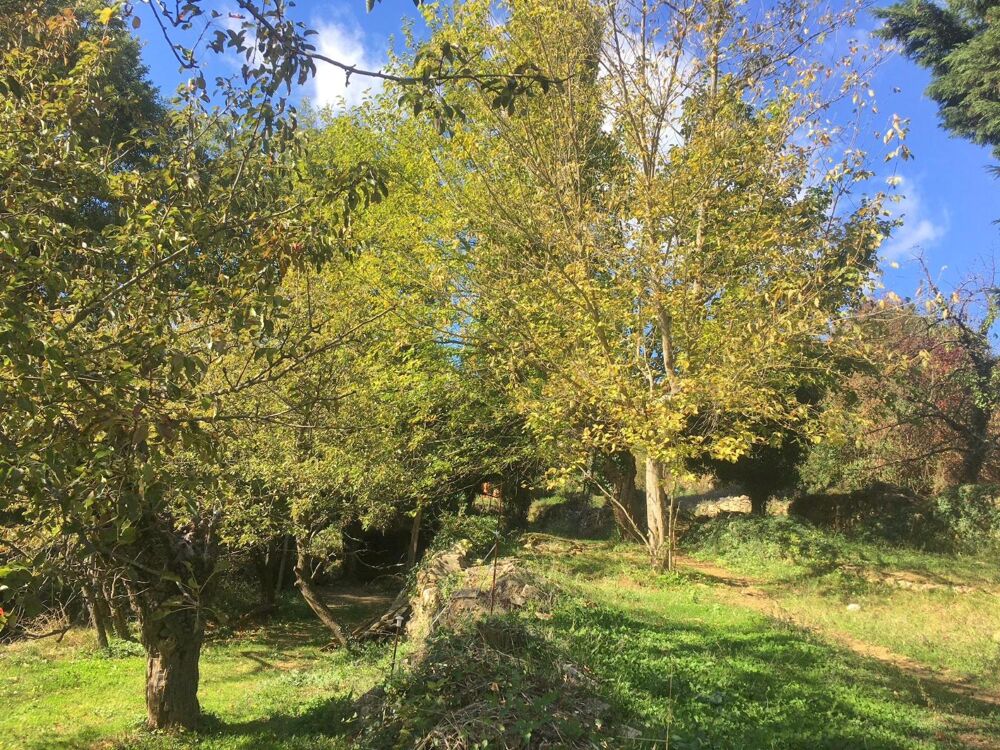 vente Terrain - 946 m² Vesseaux (07200)