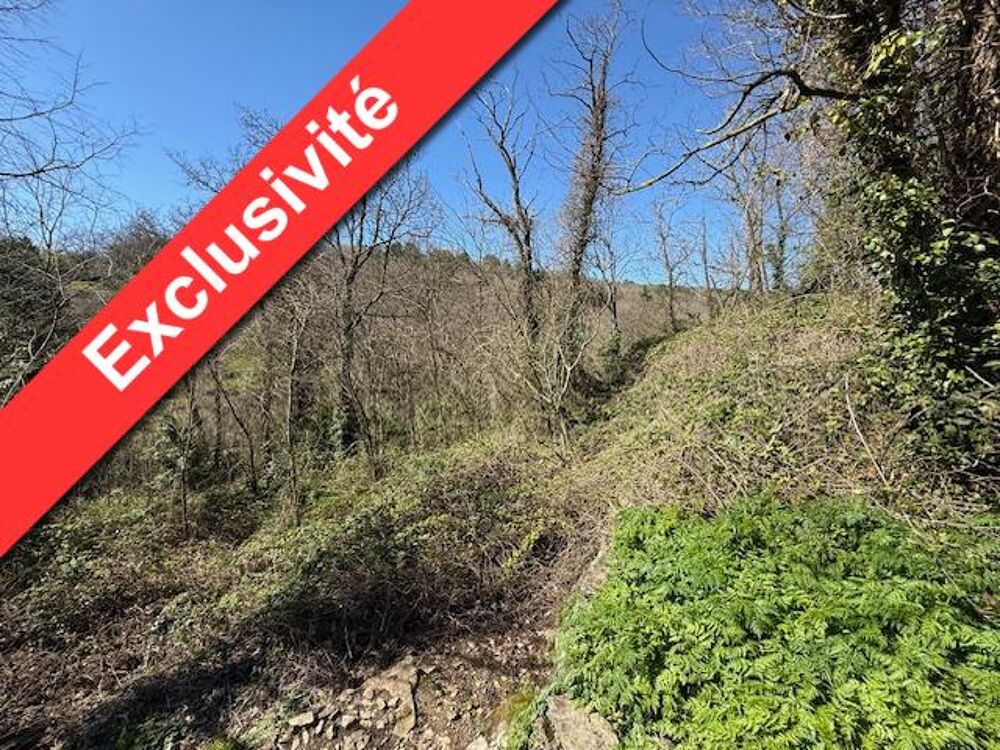 vente Terrain - 3199 m² Vesseaux (07200)