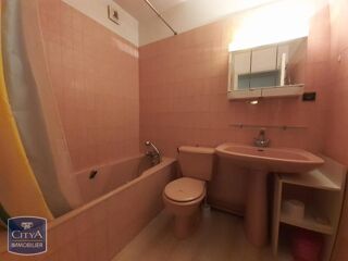  Appartement à louer 1 pièce 24 m²