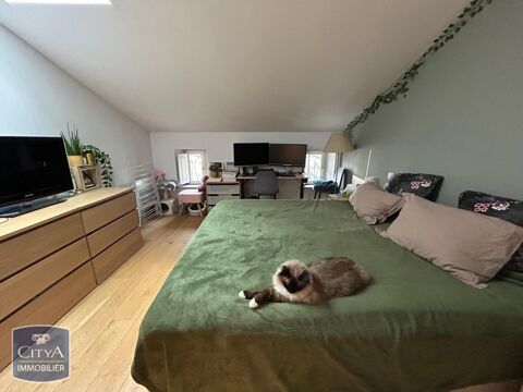  Appartement � louer 2 pi�ces 55 m�