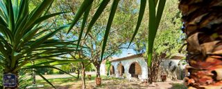  Villa à louer 5 pièces 199 m² Castelnau le lez