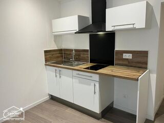  Appartement à louer 1 pièce 29 m²