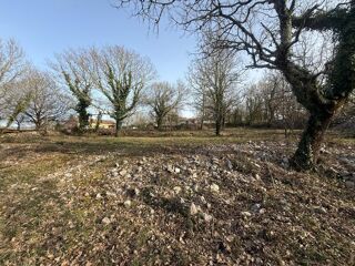  Terrain à vendre 2950 m²