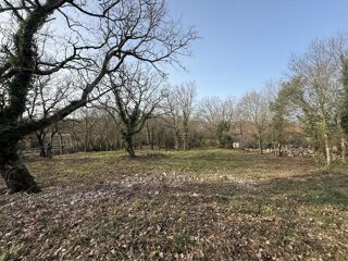  Terrain à vendre 2950 m²